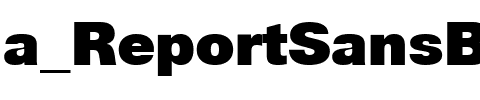a_ReportSansBck Regular.ttf