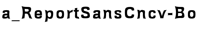 a_ReportSansCncv Bold.ttf