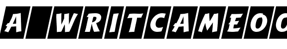 a_WritCmObl Regular.ttf