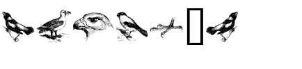 birds a Regular.ttf