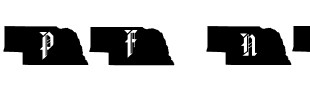 pf_ne Regular.ttf