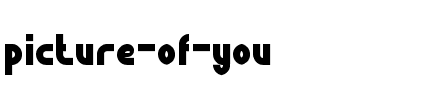 picture of you Normal.ttf