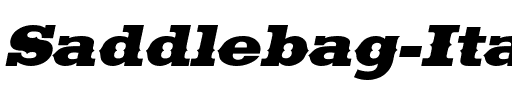 Saddlebag Italic.ttf