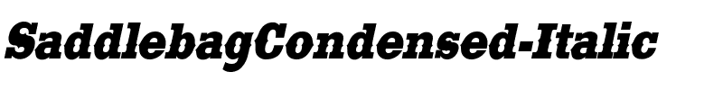 SaddlebagCondensed Medium Italic.ttf