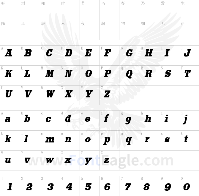 SaddlebagCondensed-Italic
