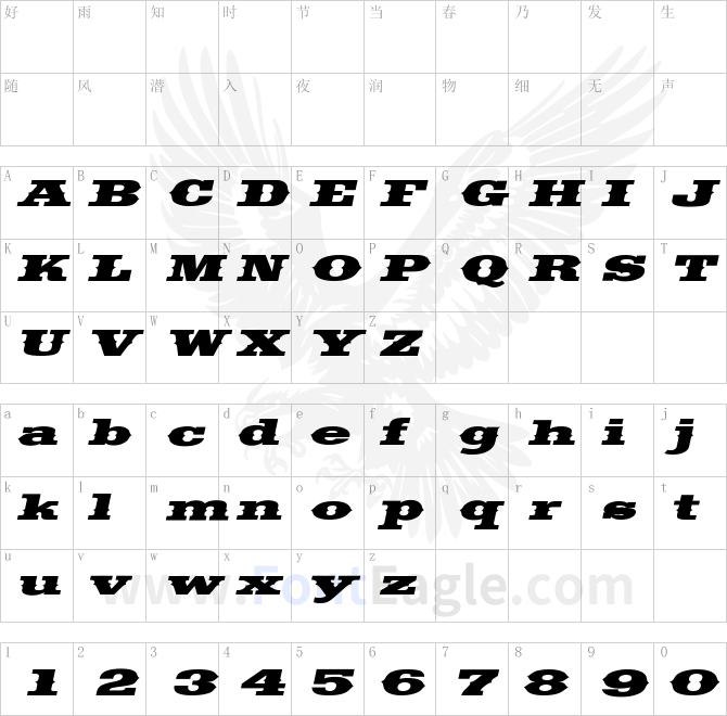 SaddlebagExtended-Italic