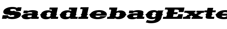 SaddlebagExtended Medium Italic.ttf