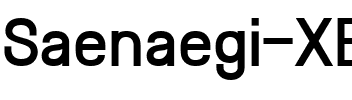 Saenaegi XB Regular.ttf