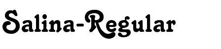 Salina Regular.ttf