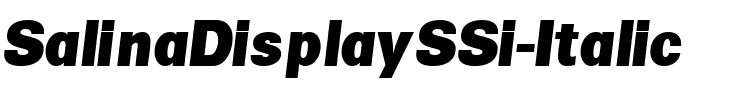 SalinaDisplaySSi Italic.ttf