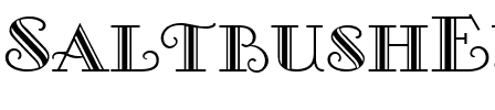 SaltbushExpert Normal.ttf