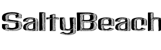 SaltyBeach Regular.ttf