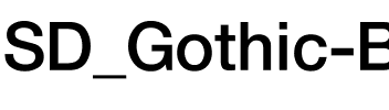 SD_Gothic B Regular.ttf