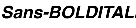 Sans BOLDITALIC.ttf