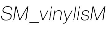 SM_vinylisM Regular.ttf