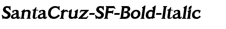 SantaCruz SF Bold Italic.ttf