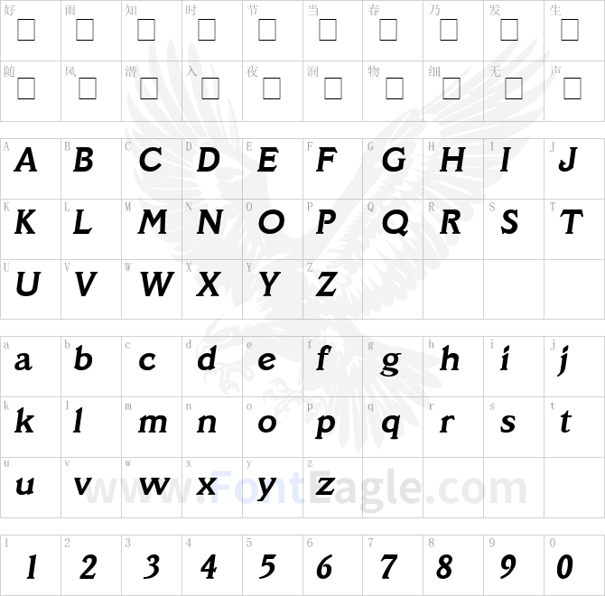 SantaCruz-SF-Bold-Italic