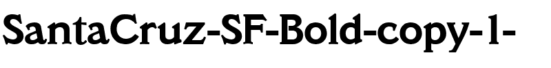 SantaCruz SF Bold.ttf