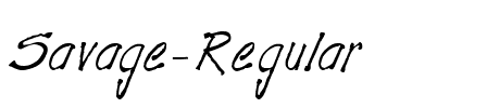 Savage Regular.ttf