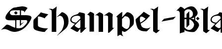 Schampel Regular.ttf