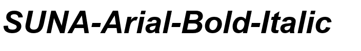 SUNA Arial Bold Italic.ttf