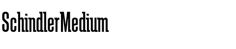 SchindlerMedium Roman.ttf