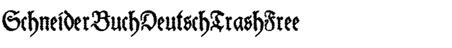 Schneider Buch Deutsch Trash Free Regular.otf