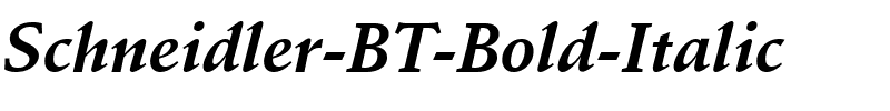 Schneidler BT Bold Italic.ttf