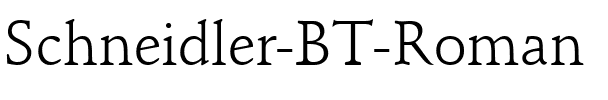Schneidler BT Roman.ttf