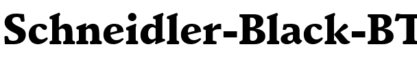 Schneidler Blk BT Black.ttf