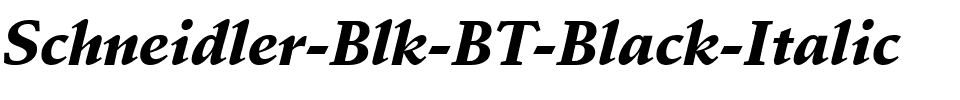Schneidler Blk BT Black Italic.ttf
