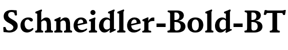 Schneidler BT Bold.ttf