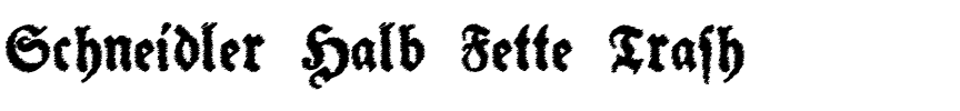 Schneidler Halb Fette Trash Regular.ttf
