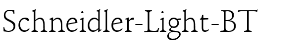 Schneidler Lt BT Light.ttf