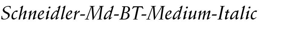 Schneidler Md BT Medium Italic.ttf
