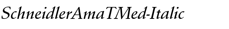 SchneidlerAmaTMed Italic.ttf