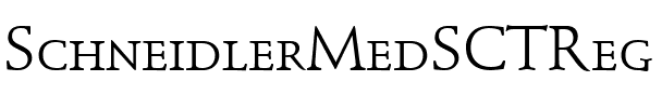 SchneidlerMedSCTReg Regular.ttf