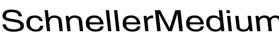 SchnellerMedium Wd Regular.ttf