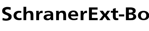 SchranerExt-Bol Regular.ttf