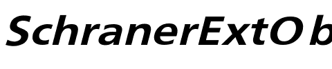 SchranerExtObl- Regular.ttf
