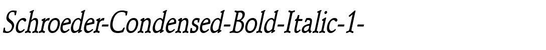 Schroeder-Condensed Bold Italic.ttf