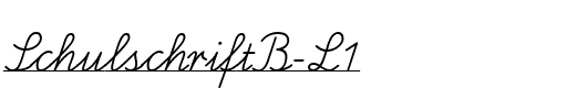 SchulschriftB-L1 Medium.ttf