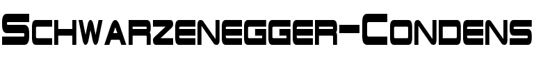 Schwarzenegger Condensed Regular.ttf