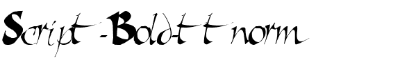 Script ttnorm Bold.ttf