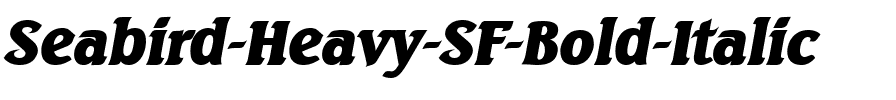 Seabird Heavy SF Bold Italic.ttf