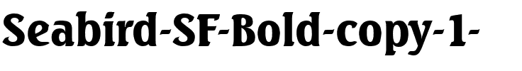 Seabird SF Bold.ttf