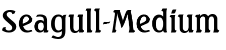 Seagull-Medium Regular.ttf