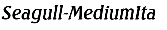 Seagull-MediumIta Regular.ttf