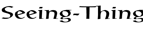 Seeing Things 3 Regular.ttf