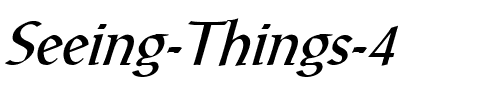 Seeing Things 4 Italic.ttf